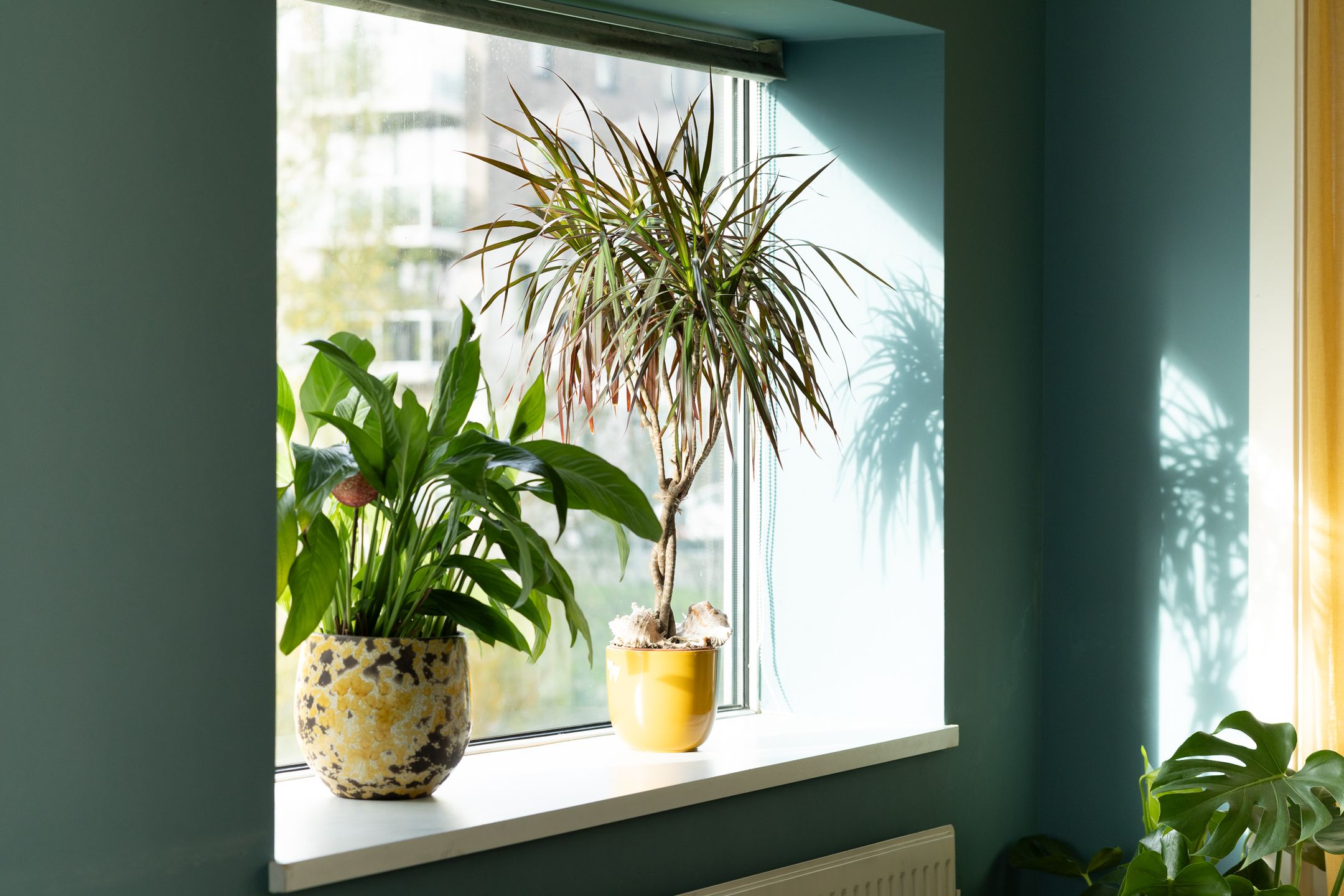 Foto 12 van Asselijnstraat 36