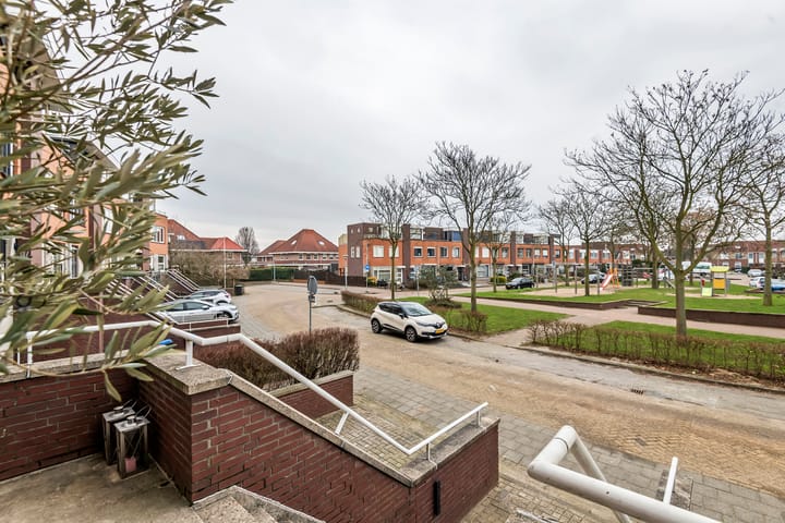 Foto 5 van Goudhaver 45