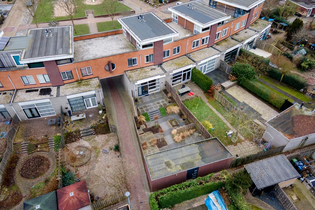 Foto 46 van Goudhaver 45