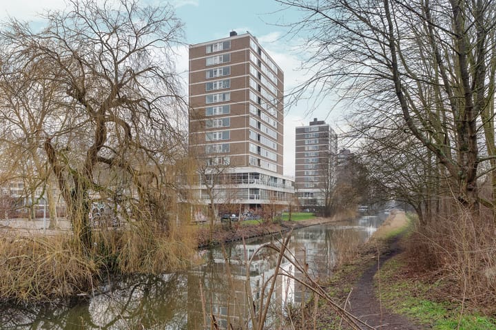 Photo 35 of Maassluisstraat 58