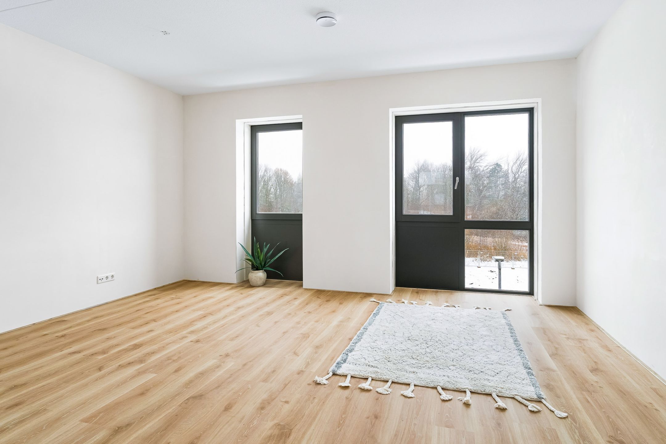 Photo 12 of Esdoornlaan 207