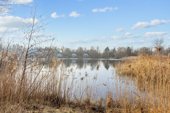 Foto 48 van De Rug 3-67