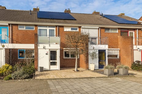 undefined main image