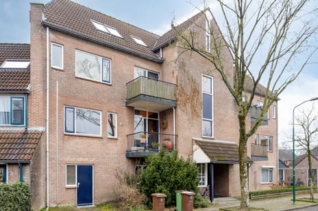 Regge 39 secondary image