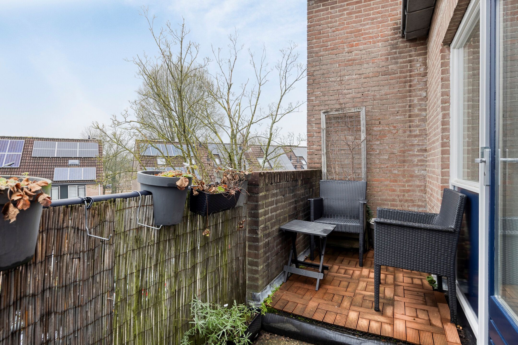 Photo 21 of Regge 39