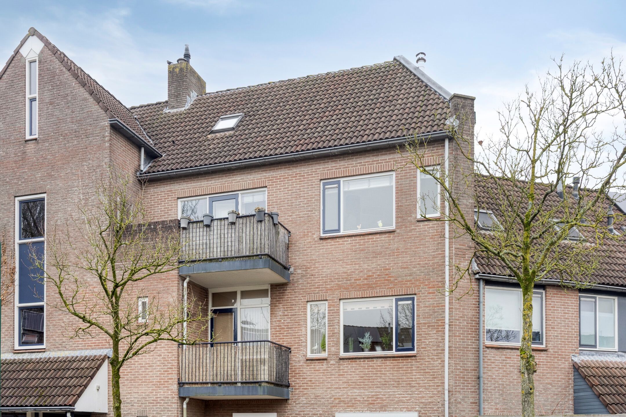 Photo 30 of Regge 39