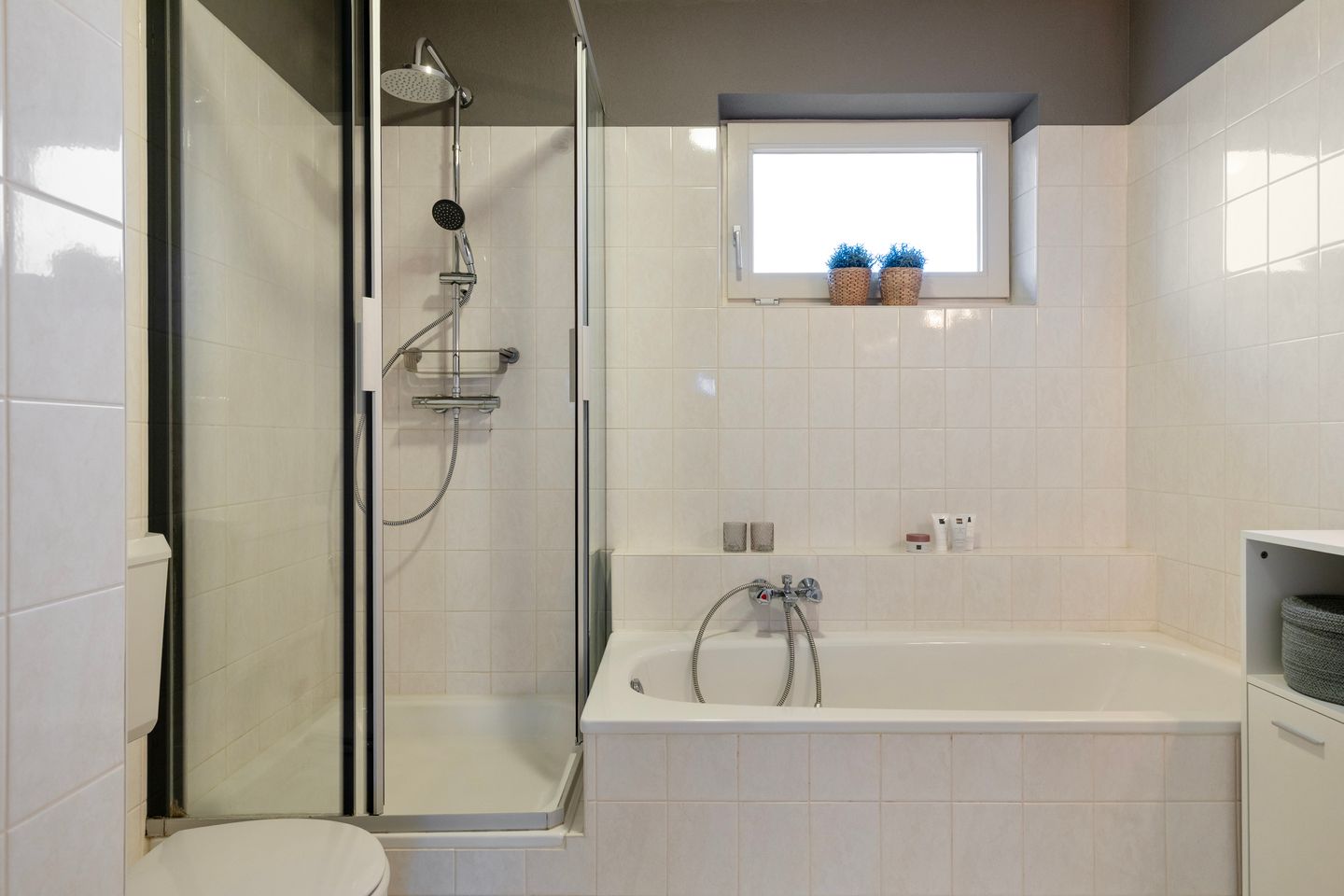 Foto 19 van Sterappel 43