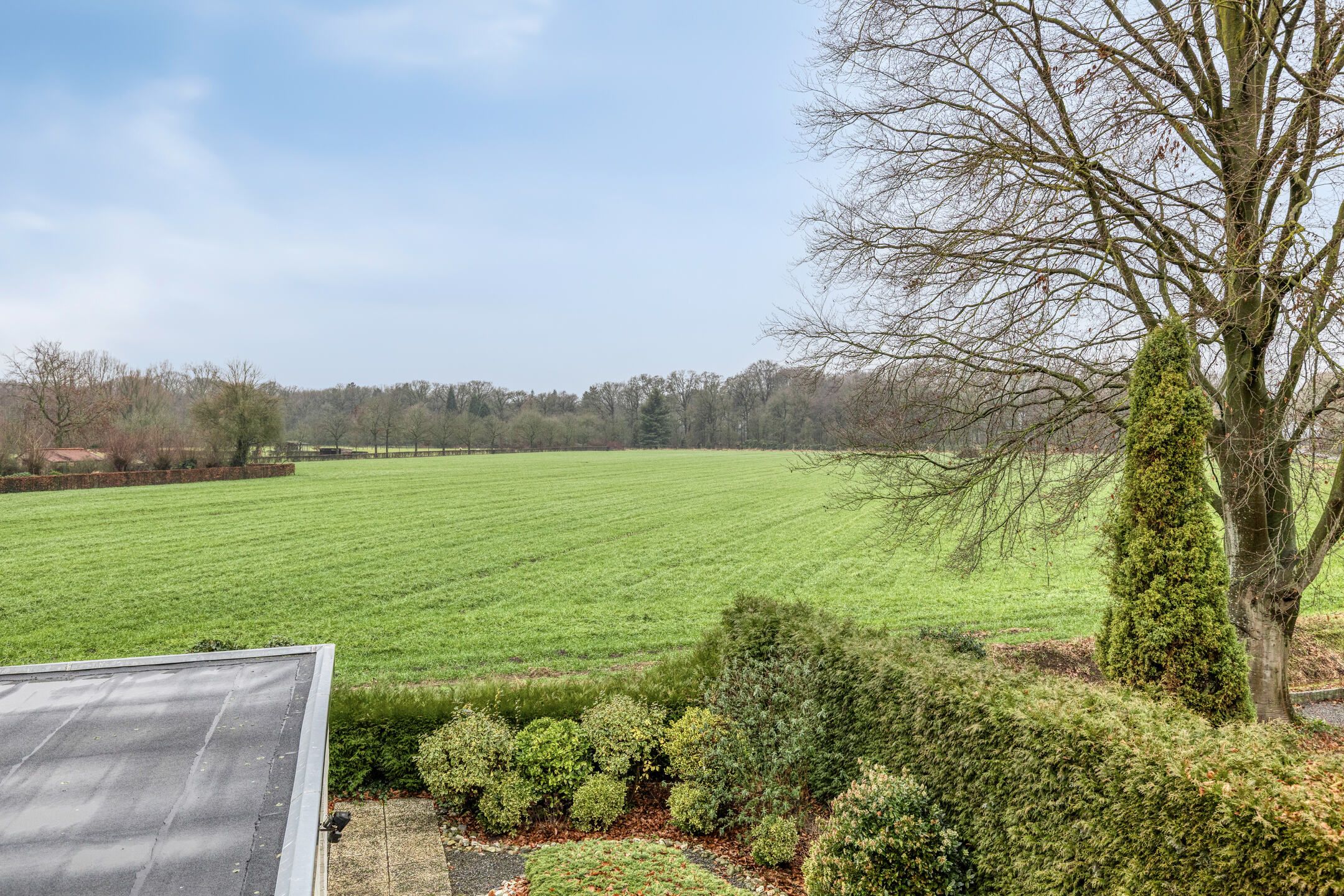 Photo 3 of Tolschestraat 58