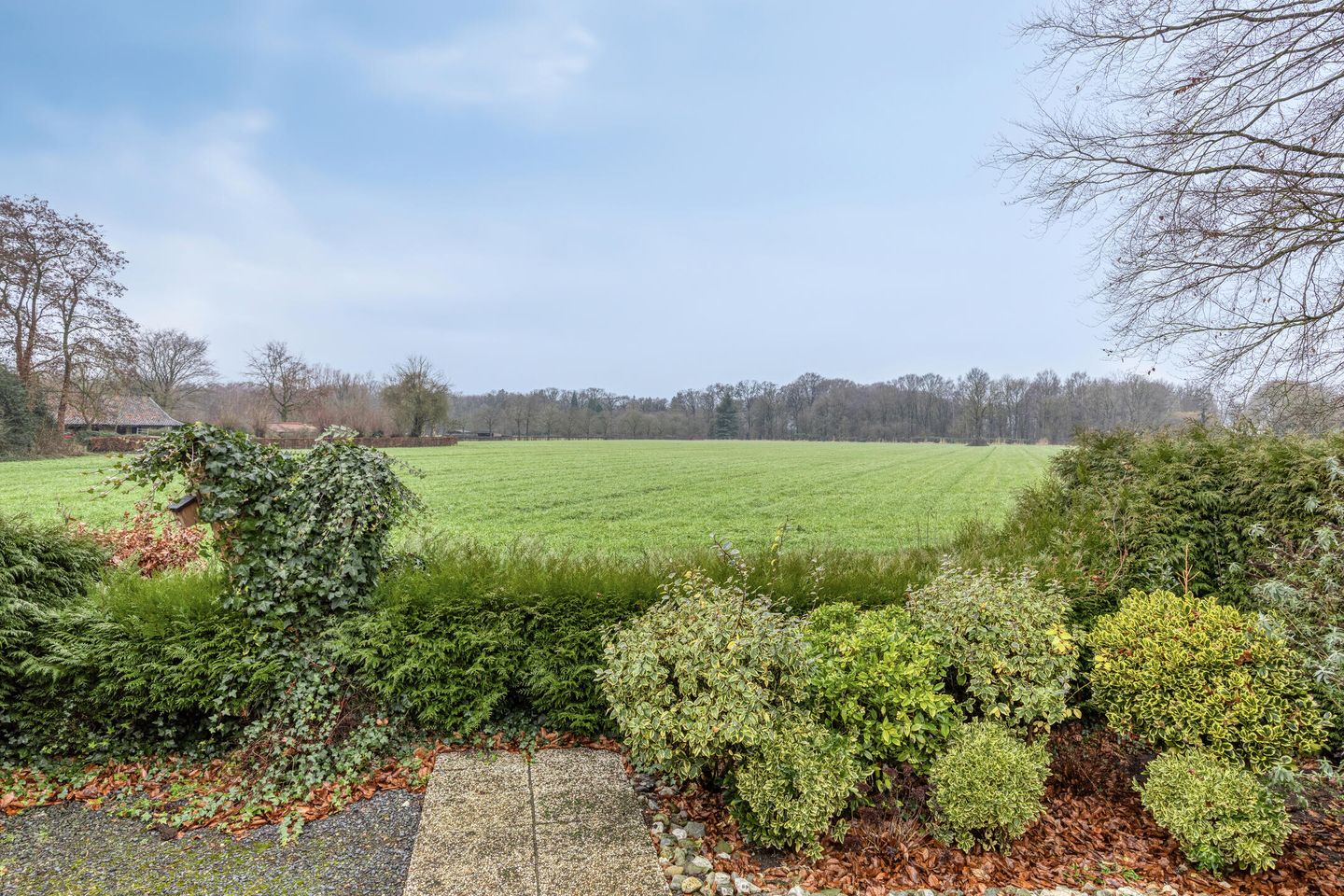 Photo 19 of Tolschestraat 58