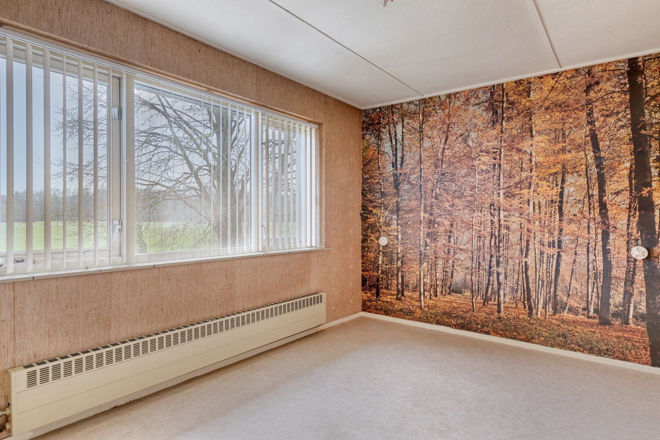 Photo 24 of Tolschestraat 58