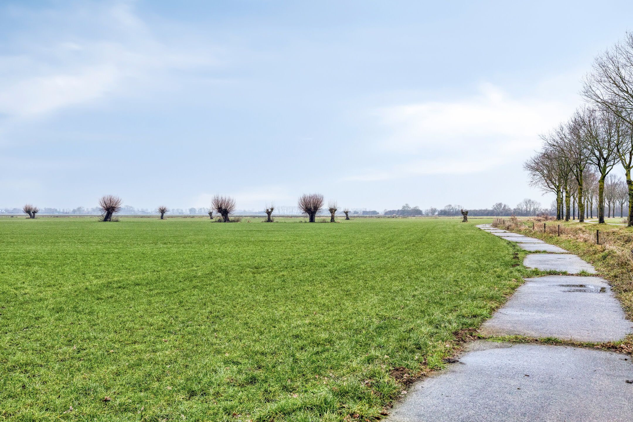 Photo 33 of Tolschestraat 58