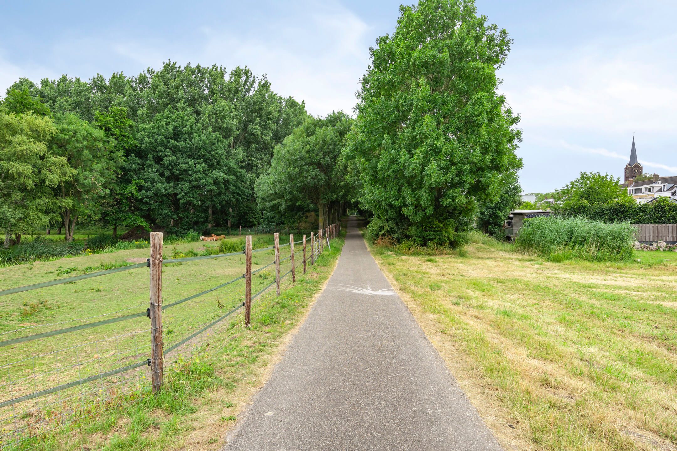 Foto 36 van IJsselmondselaan 235-A