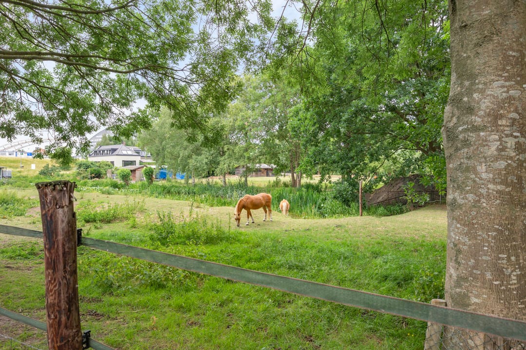 Foto 38 van IJsselmondselaan 235-A