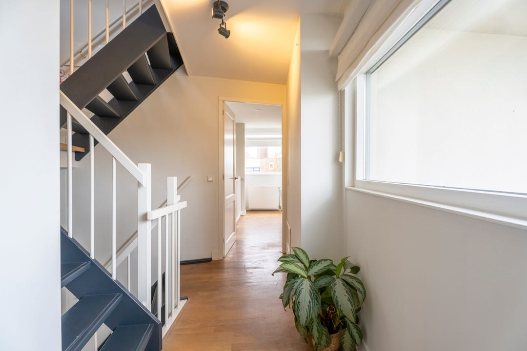 Foto 22 van Jan Wilspark 31