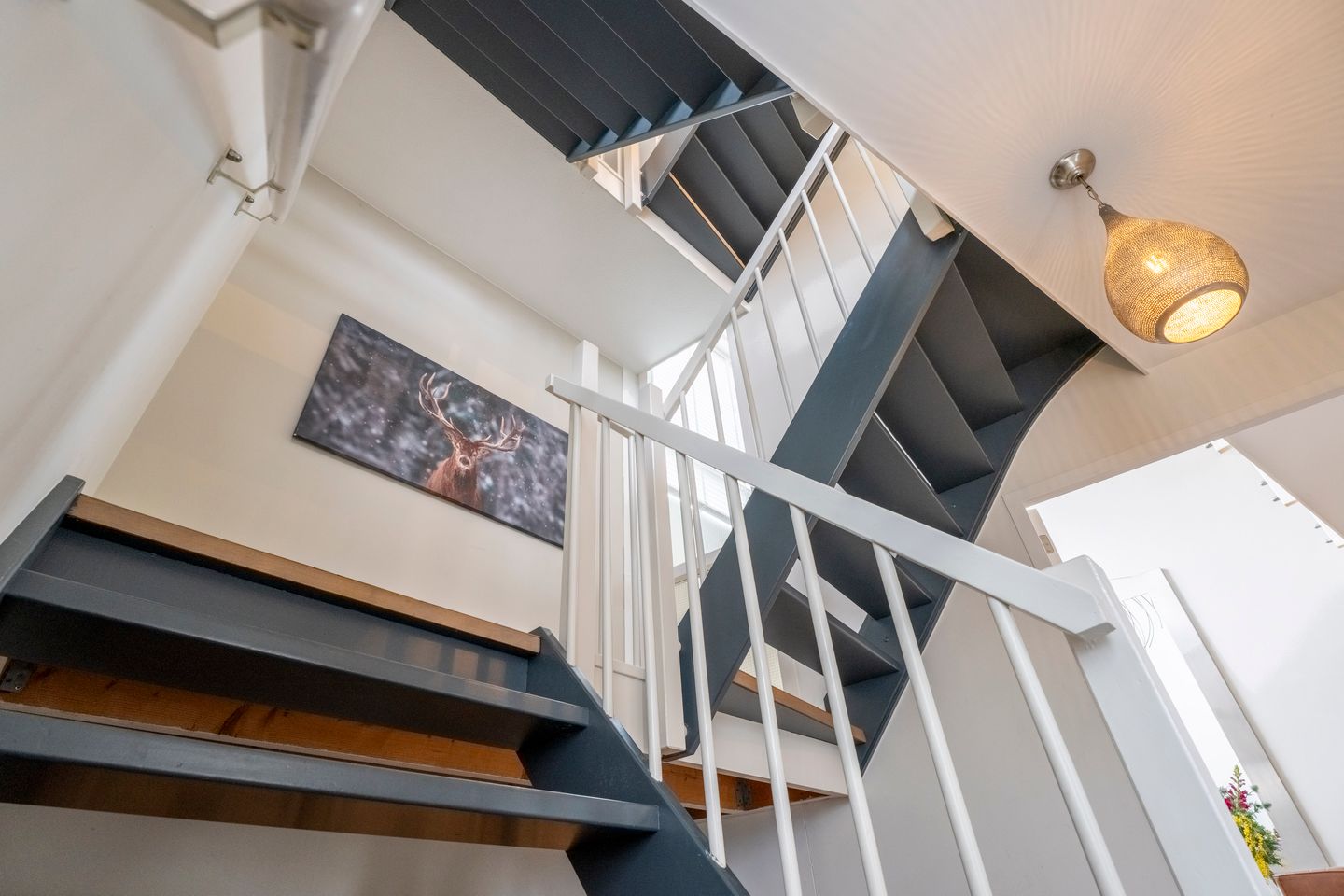 Foto 20 van Jan Wilspark 31