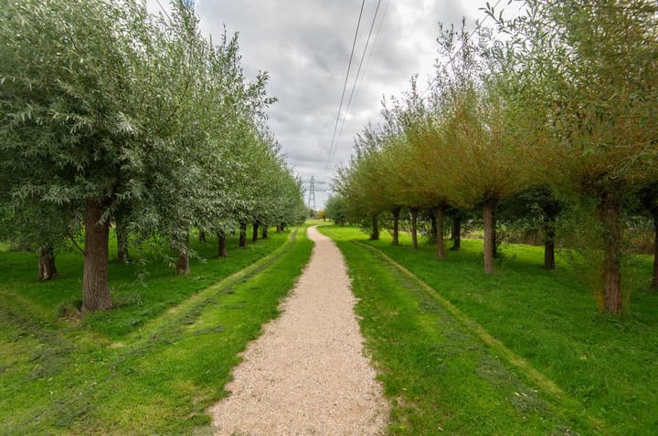 Foto 65 van Jan Wilspark 31