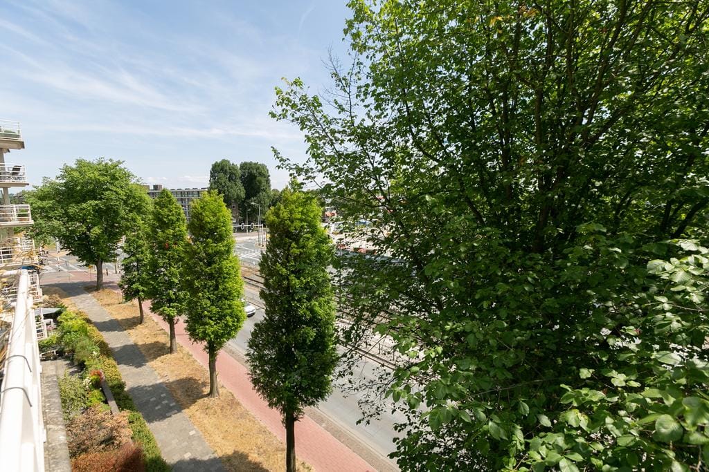 Foto 23 van Buizerdlaan 79