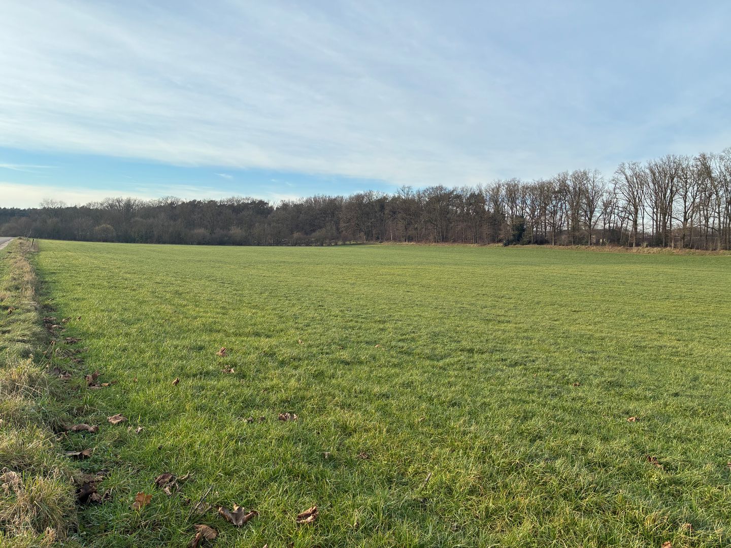 View photo 4 of Kolenhofweg