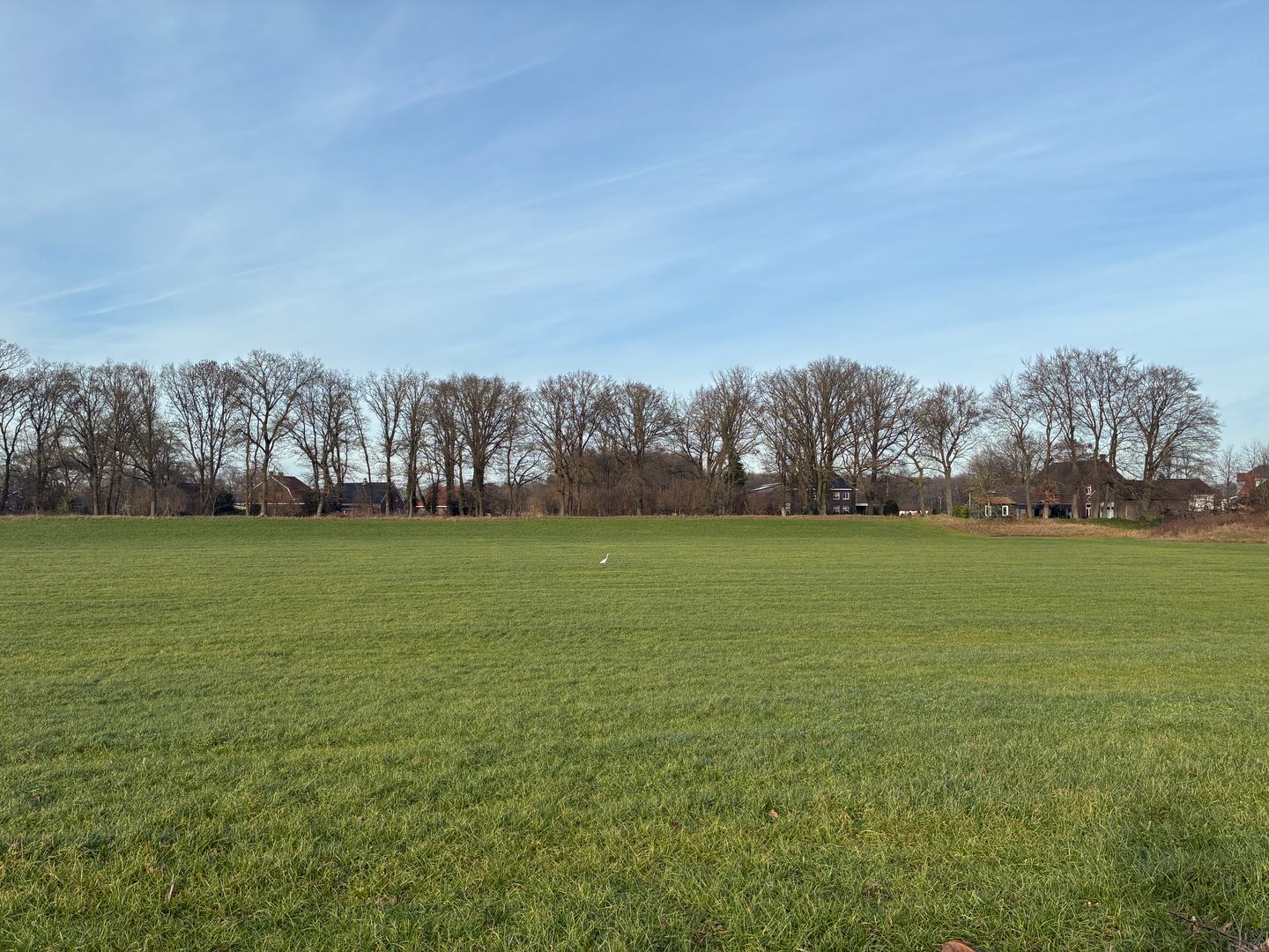 Kolenhofweg - Leveroy - Afbeelding 7