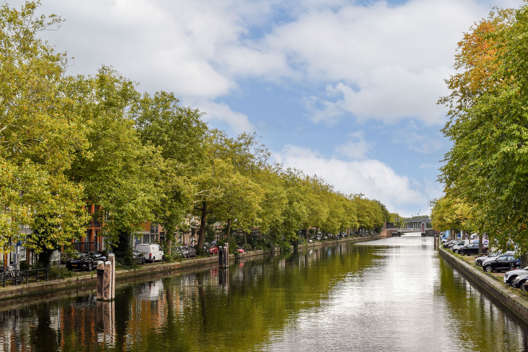 Photo 21 of Jacob Marisplein 32