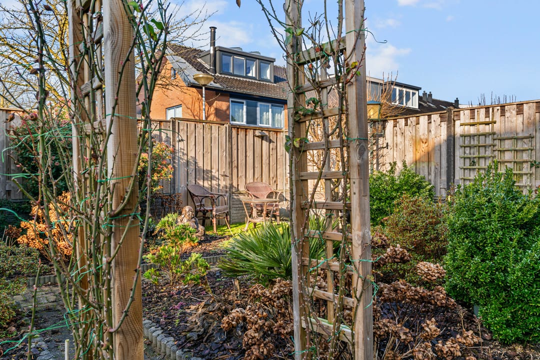 Photo 37 of Zesmorgen 100