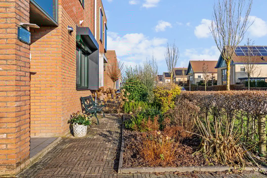 Photo 41 of Zesmorgen 100