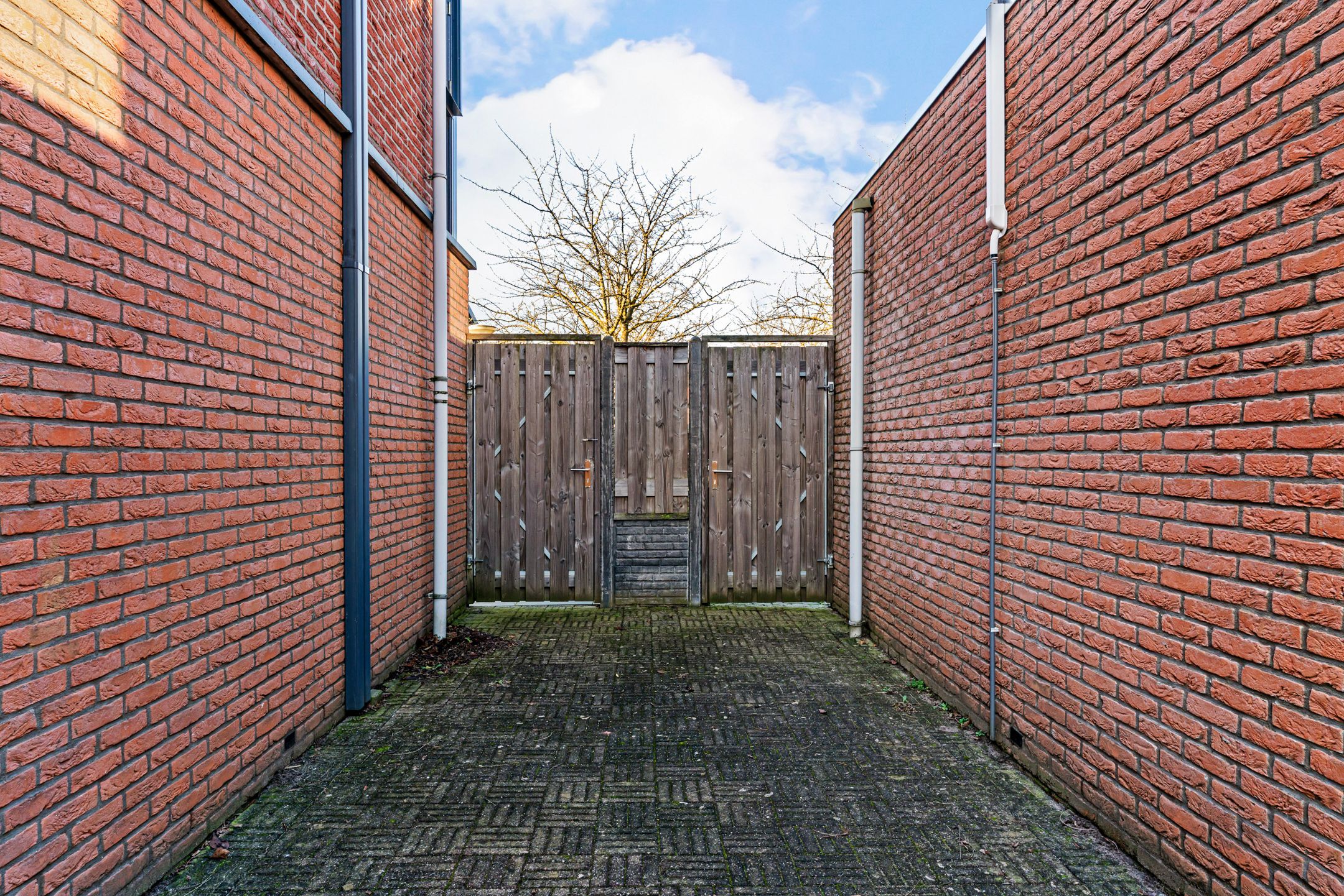 Photo 42 of Zesmorgen 100