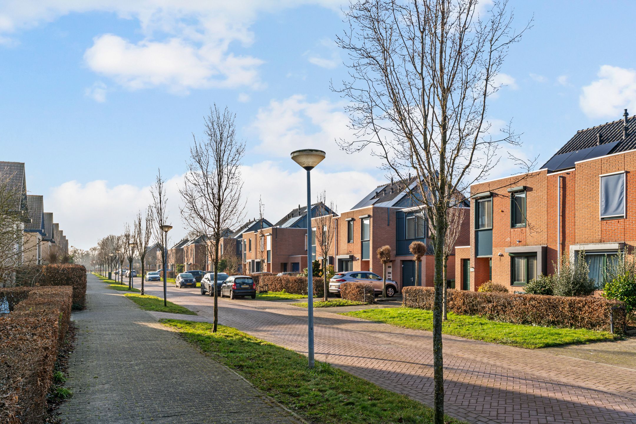 Photo 45 of Zesmorgen 100