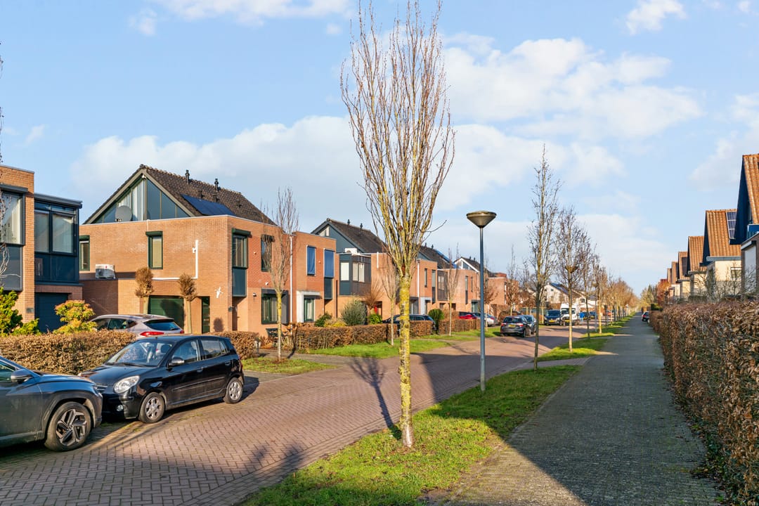 Photo 46 of Zesmorgen 100