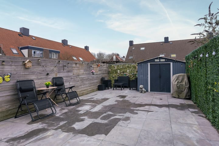 Photo 4 of Boterbloem 111