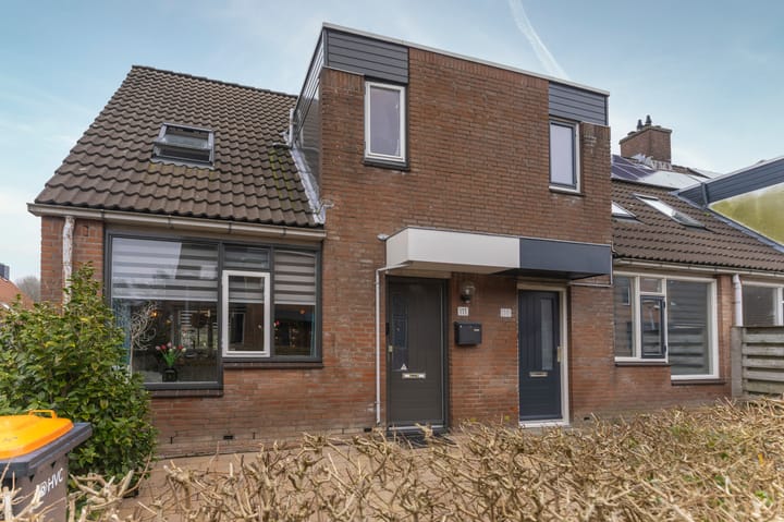 Photo 5 of Boterbloem 111