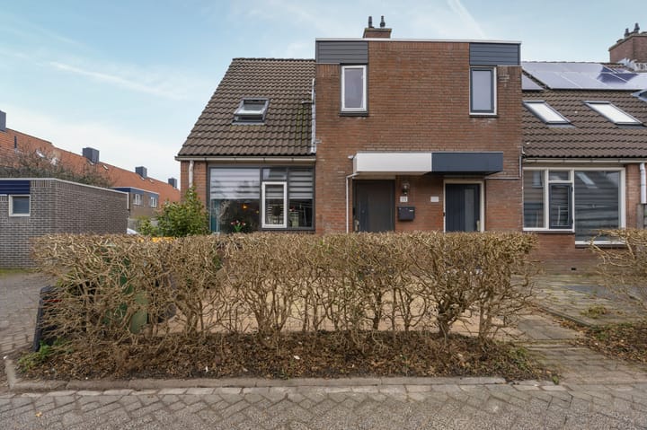 Photo 6 of Boterbloem 111