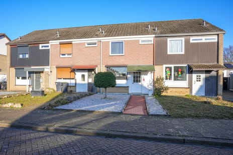 undefined main image