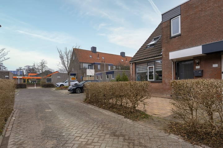 Photo 27 of Boterbloem 111