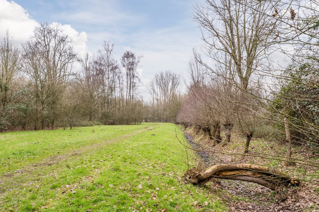 Foto 28 van Van Dillewijndreef 17