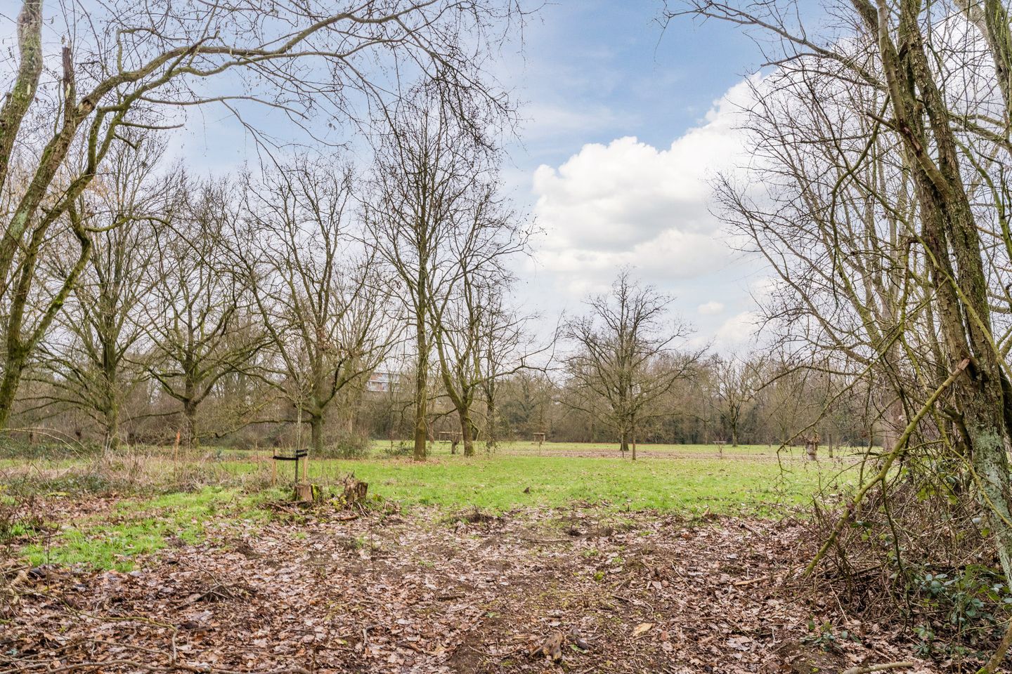 Foto 29 van Van Dillewijndreef 17