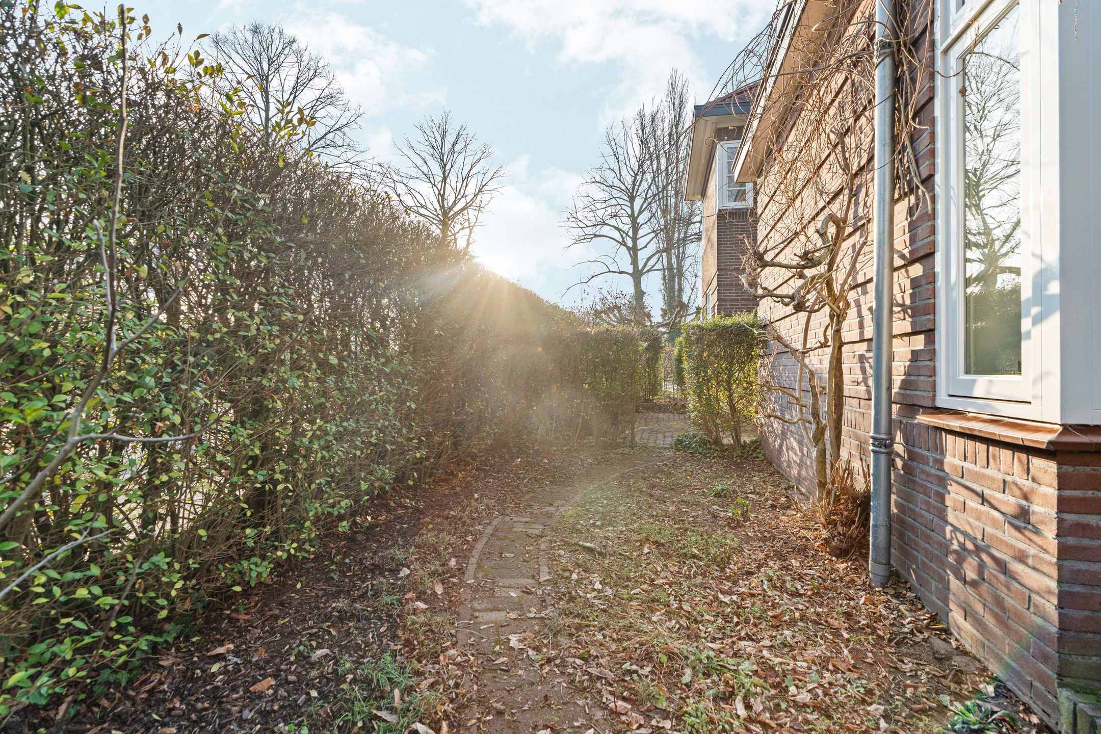 Foto 72 van Oude Groenewoudseweg 242