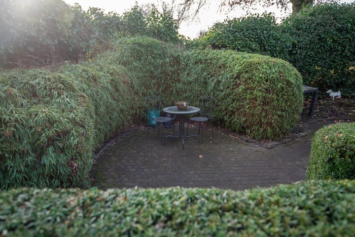 Photo 45 of Pieter Puypeplein 27