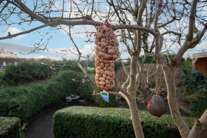 Photo 47 of Pieter Puypeplein 27