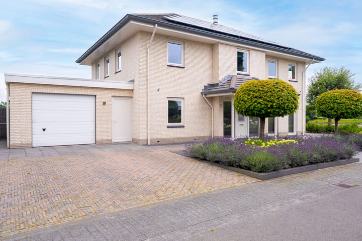 Photo 9 of Kleine Zilverreiger 17