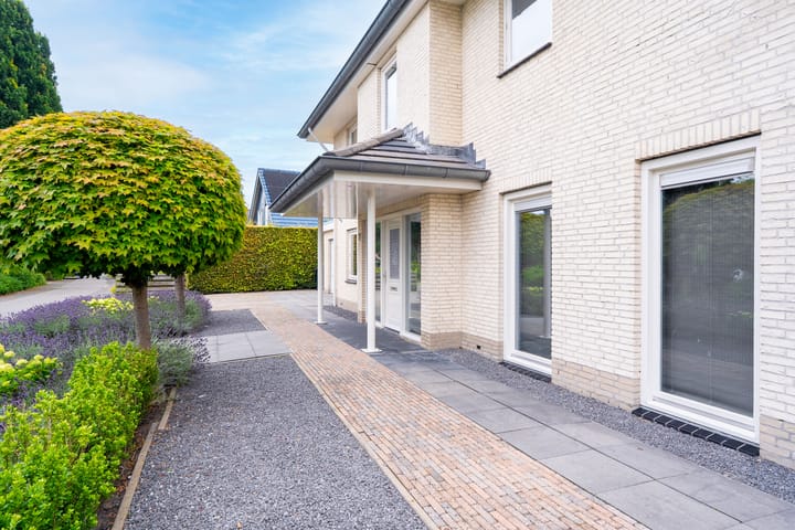 Photo 10 of Kleine Zilverreiger 17