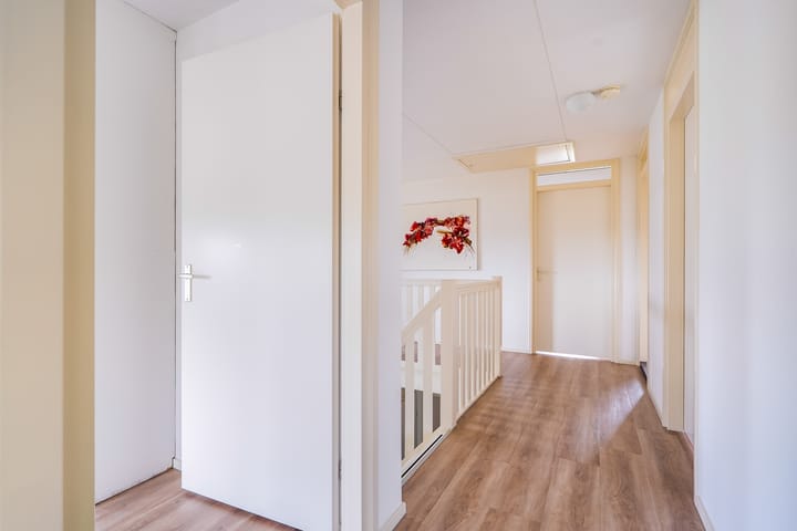 Photo 40 of Kleine Zilverreiger 17