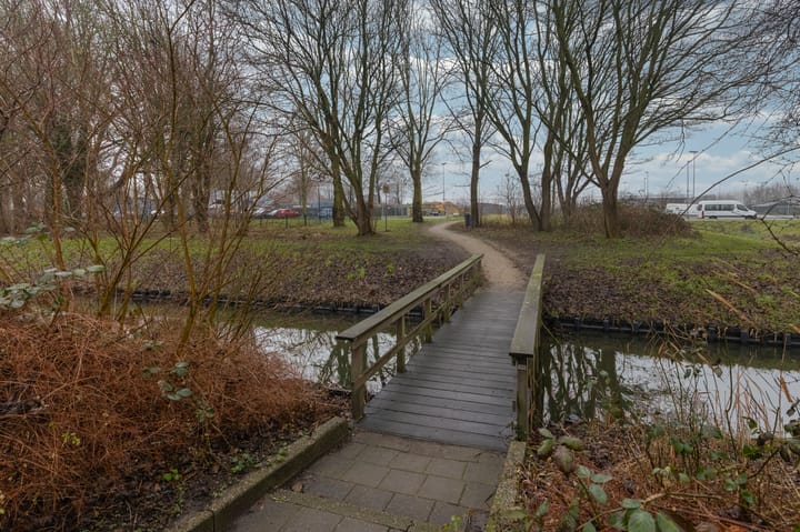 Foto 5 van Hoefijzer 54