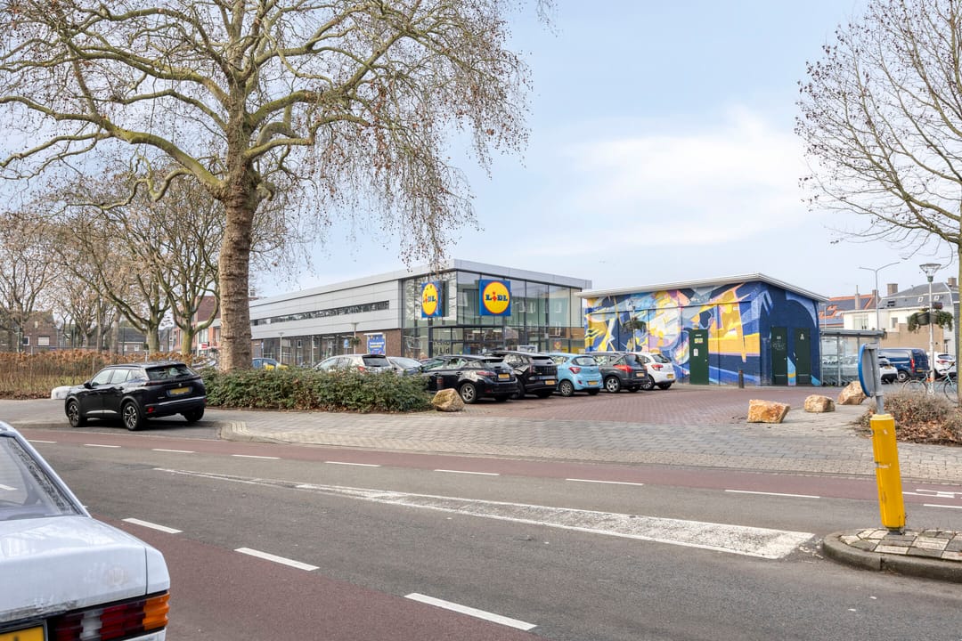 Photo 46 of Tartinistraat 53