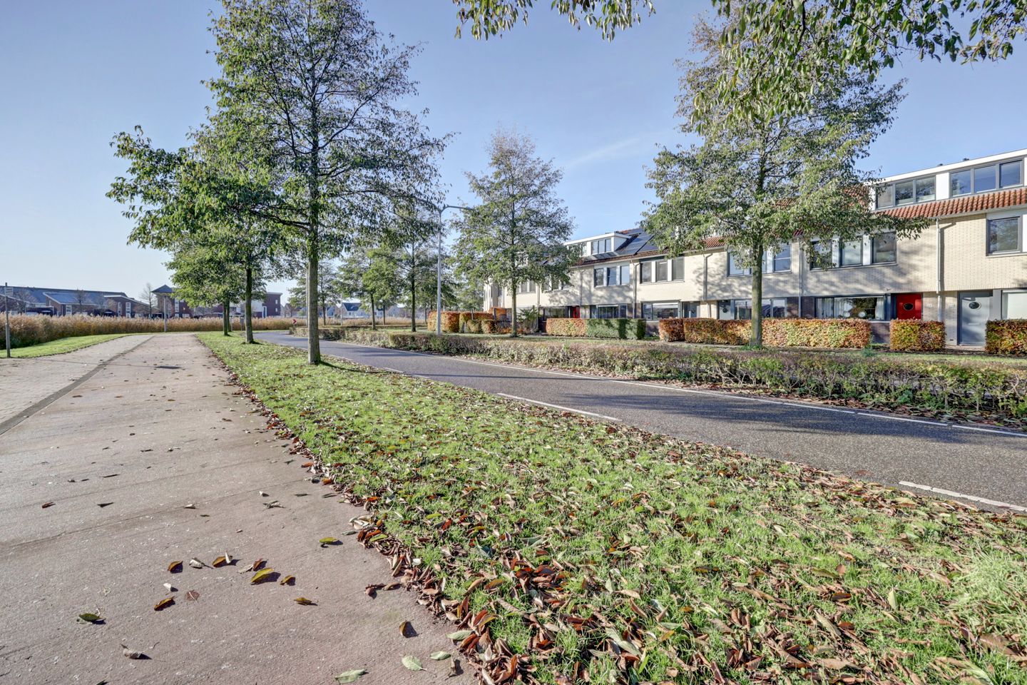 Photo 35 of Smidshamer 30