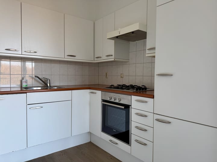 Foto 3 van Verdilaan 123