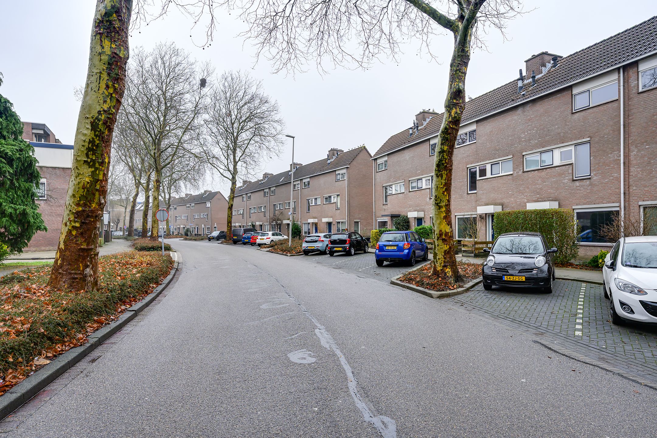 Photo 9 of Parkdreef 242