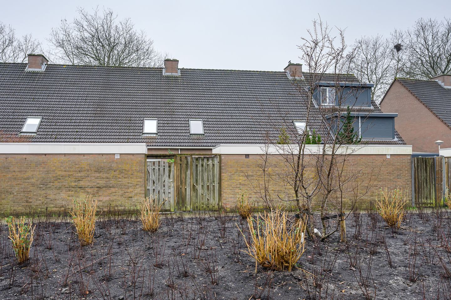 Photo 35 of Parkdreef 242