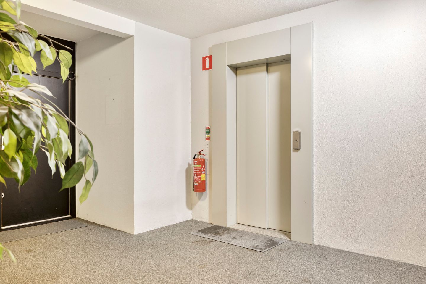 Foto 5 van de Greide 18