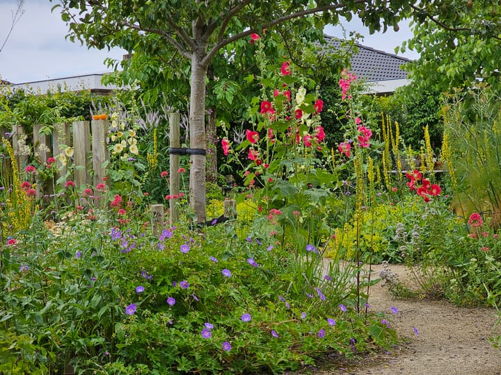 Foto 44 van Eaglelaan 7